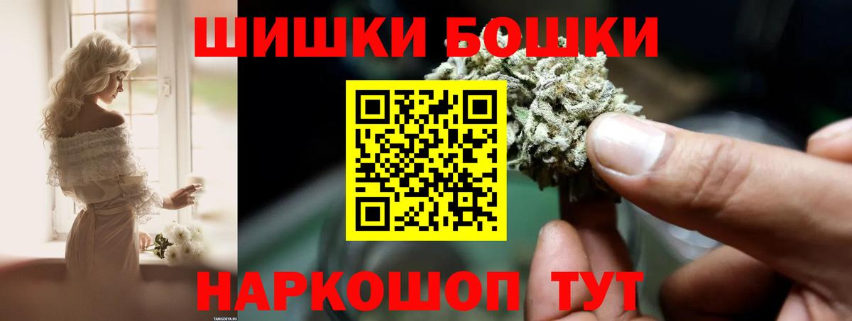 Бошки Шишки SATIVA & INDICA  МАРИХУАНА план  Канабис AK-47  Сальск  Вход с VPN 